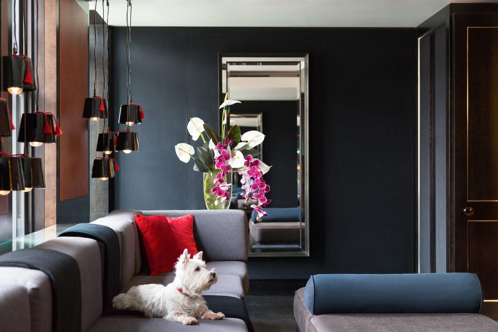 The Mayfair Suites interior photo 5